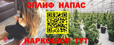 дживик Северобайкальск