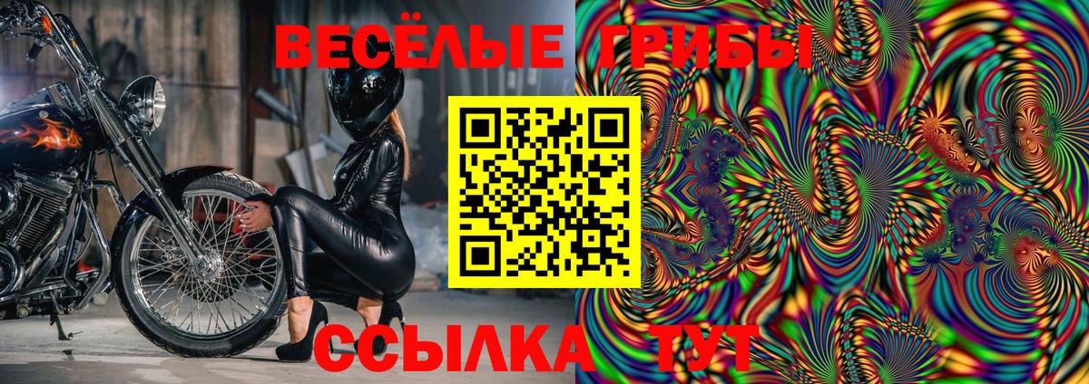 Галлюциногенные грибы мухоморы  Вход с VPN  Новошахтинск 
