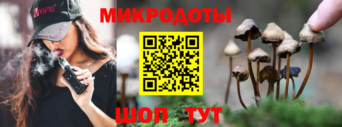 Псилоцибиновые грибы прущие грибы Новошахтинск